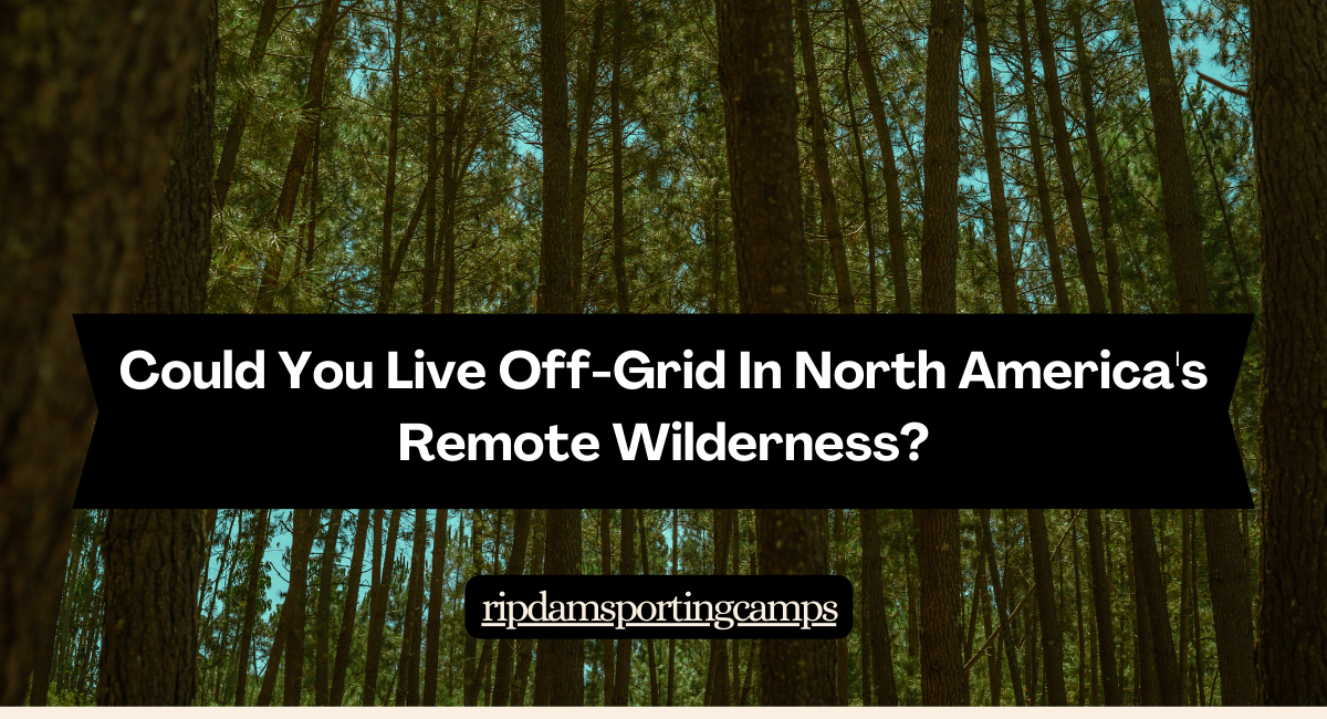 Could You Live Off-Grid in North America’s Remote Wilderness?