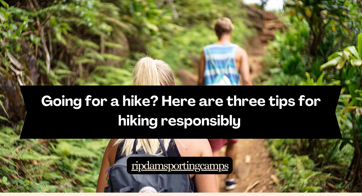 Going for a Hike? Here Are Three Tips for Hiking Responsibly